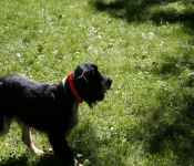 July4th2011 295